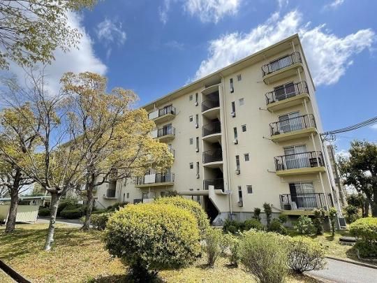 �j�R��4�Z��311�� �O�ώʐ^