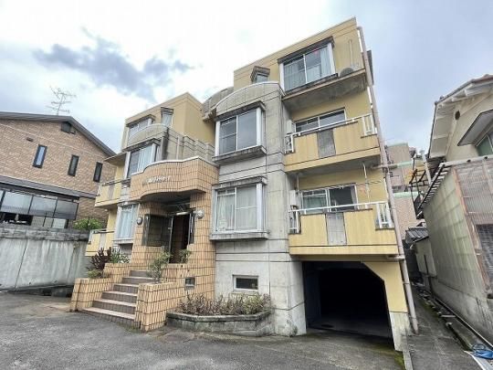 �F���A���[���T �O�ώʐ^