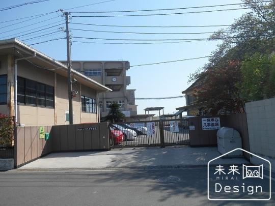  �F���s���k�F�����w�Z:1137m