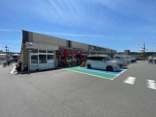  �t�����h�}�[�g�F���c���X:1955m