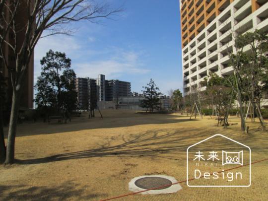  ���̑����L����