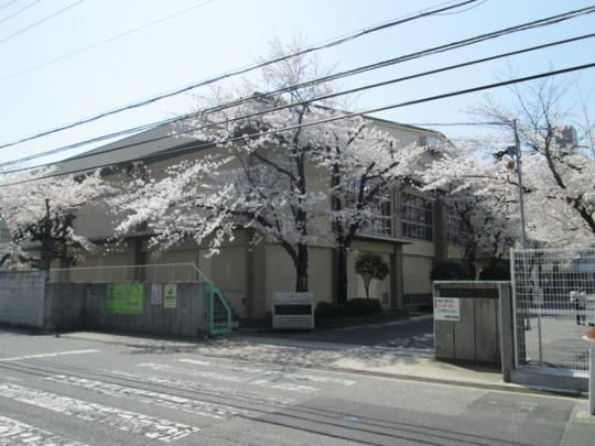  �F���s���ؔ����w�Z:453m