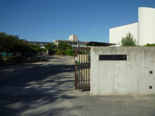  FswZ:1256m