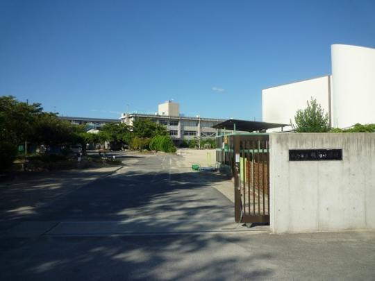  FswZ:1589m
